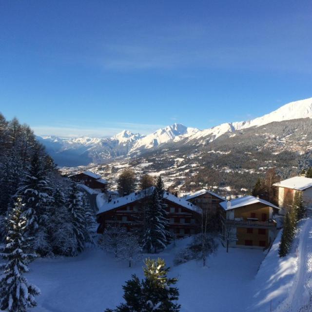 Mountain View Cosy, Comfortable 1 Bed-room Luxury Apartment *