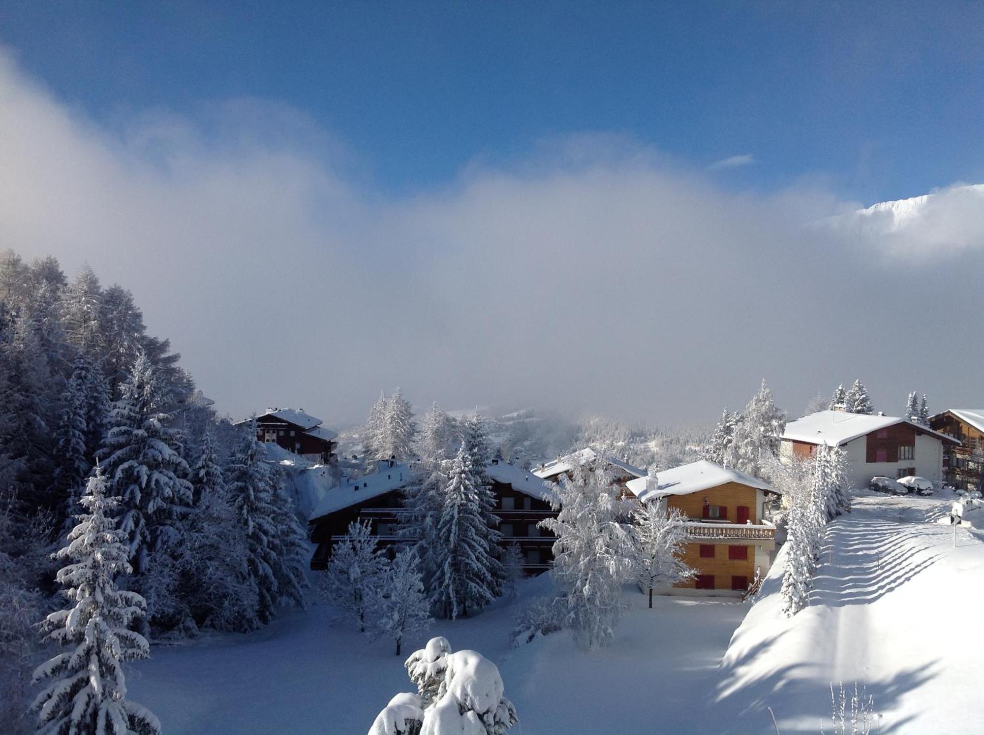 Mountain View Cosy, Comfortable 1 Bed-room Luxury Apartment